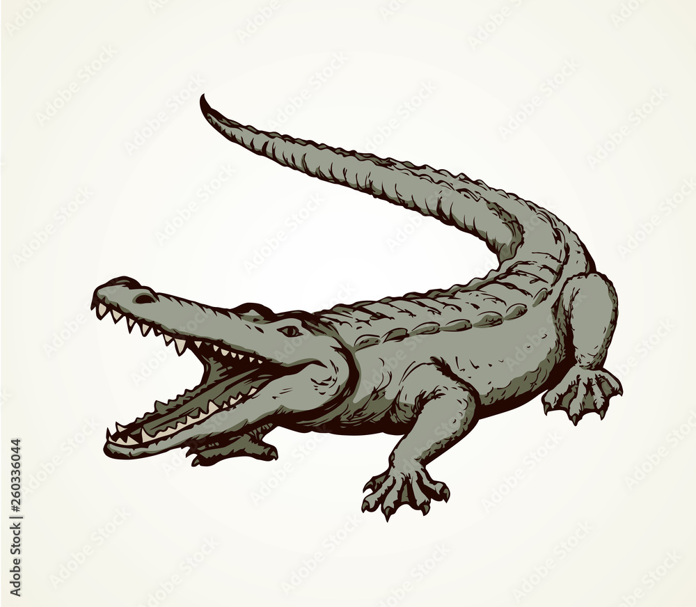 Detail Crocodile Vector Nomer 53