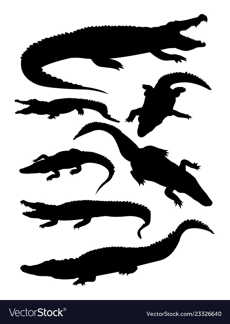Detail Crocodile Vector Nomer 58