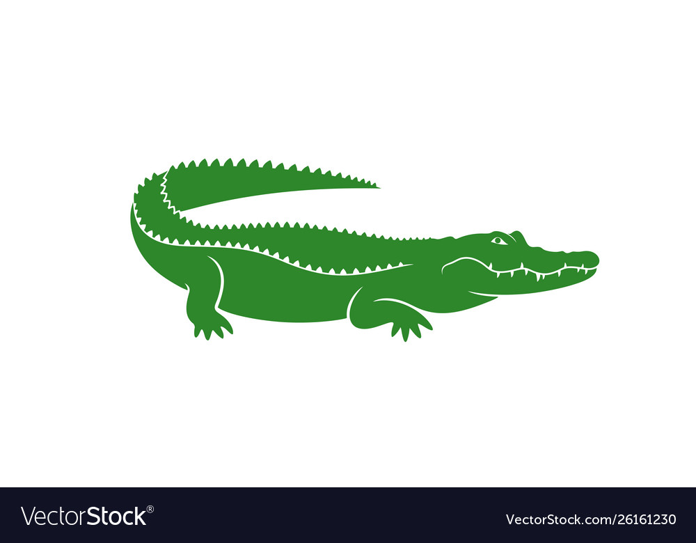 Detail Crocodile Vector Nomer 7