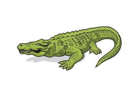 Detail Crocodile Vector Nomer 9