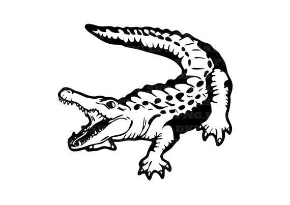 Detail Crocodile Vector Png Nomer 14