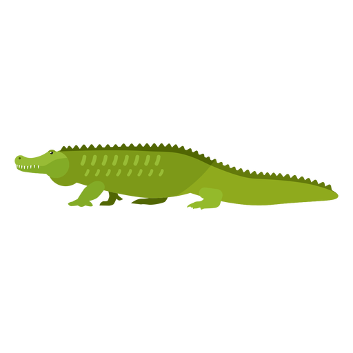 Detail Crocodile Vector Png Nomer 32