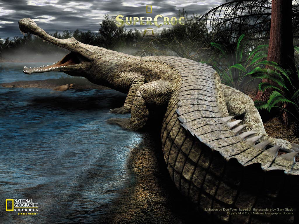 Detail Crocodile Wallpapers Nomer 20