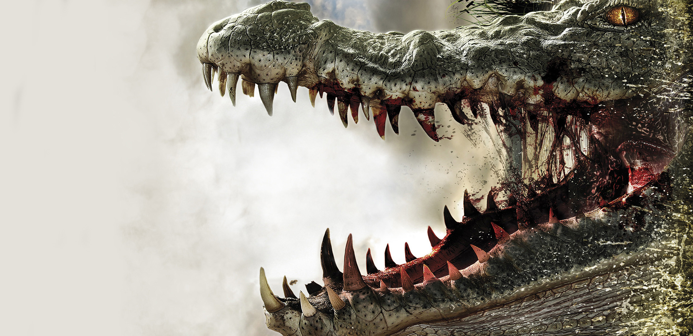 Detail Crocodile Wallpapers Nomer 4