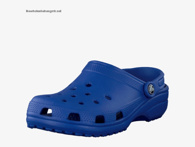 Detail Crocs Png Nomer 44