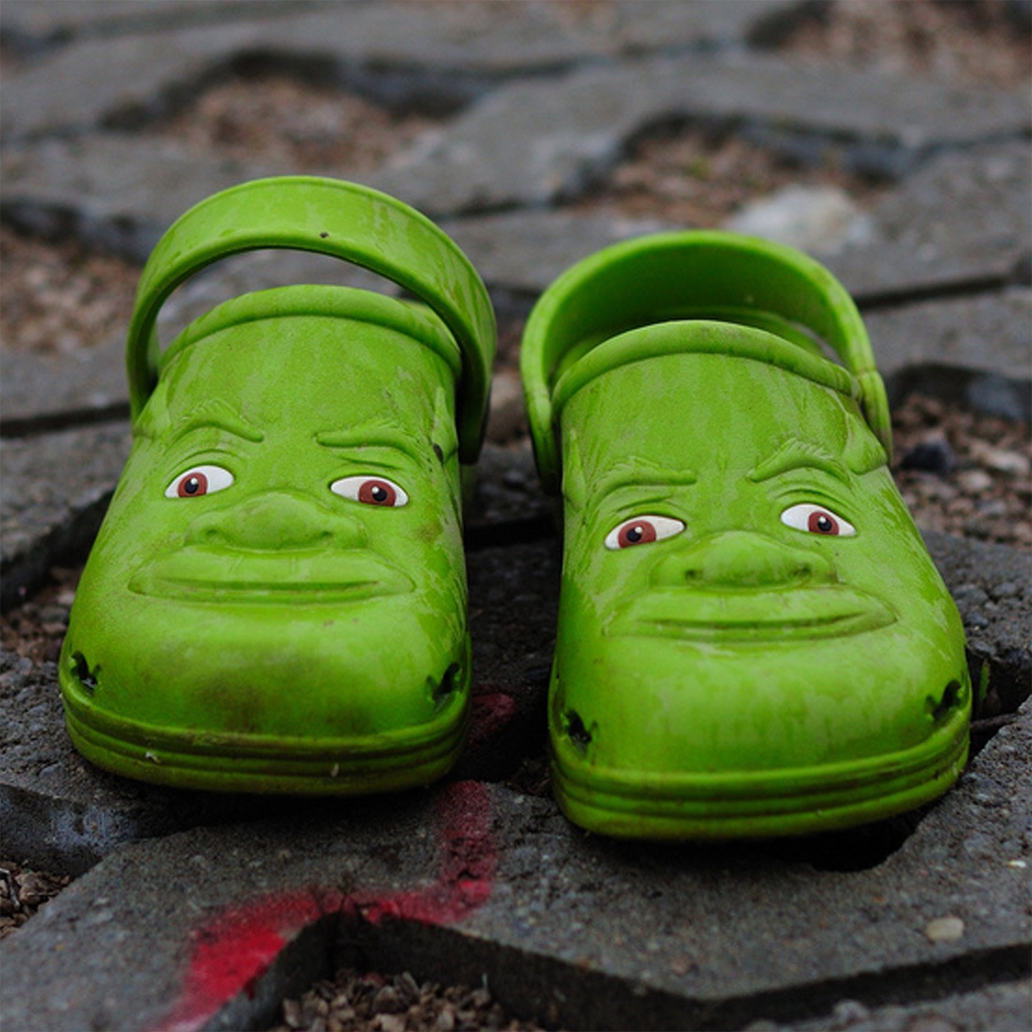 Detail Crocs Shrek Nomer 7
