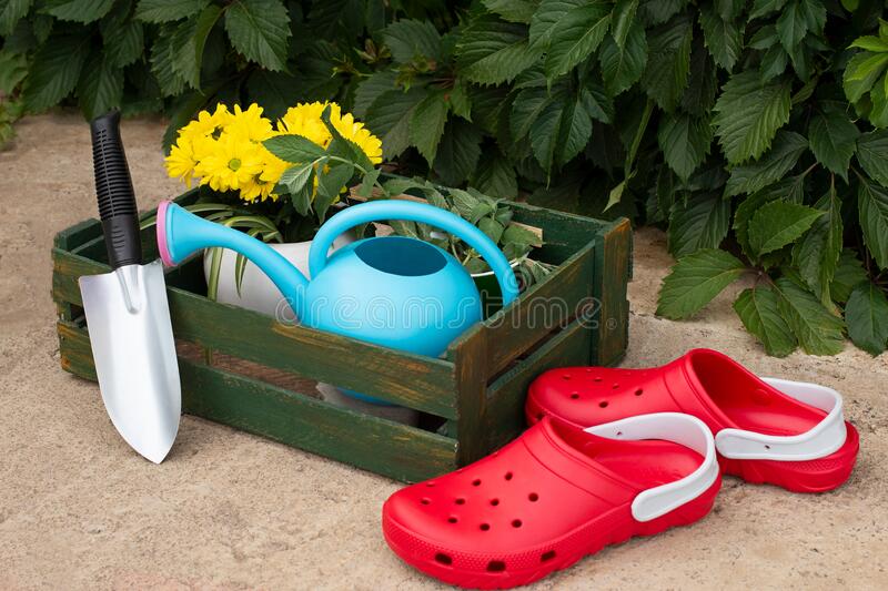 Detail Crocs With Pot Leaves Nomer 39