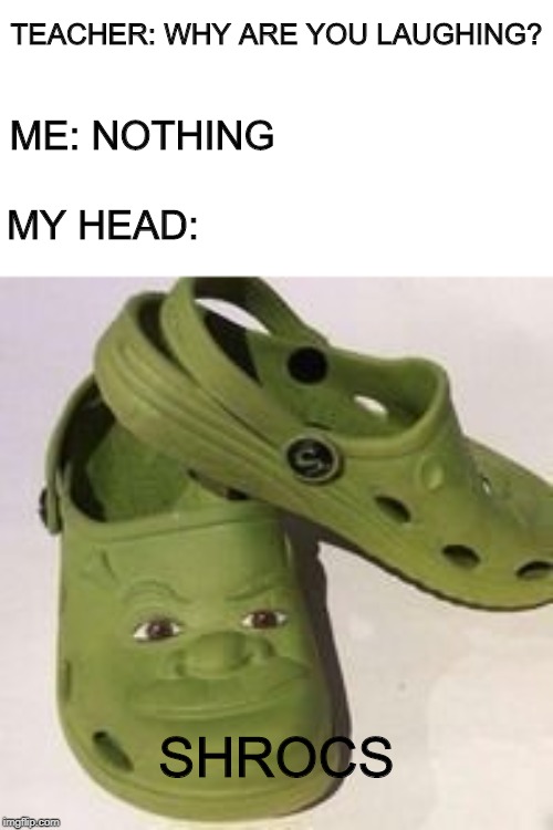 Detail Crocs With Socks Meme Nomer 48