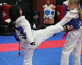 Detail Croft Taekwondo Nomer 12