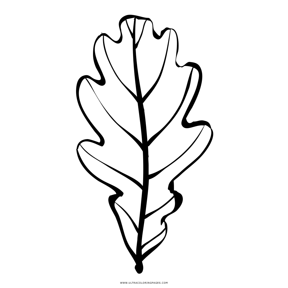 Detail Eichenblatt Bild Nomer 9