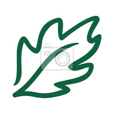 Detail Eichenblatt Bild Nomer 6