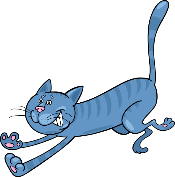 Detail Grau Getigerte Katze Nomer 10