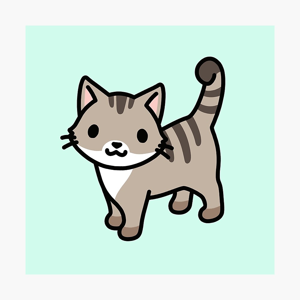 Grau Getigerte Katze - KibrisPDR
