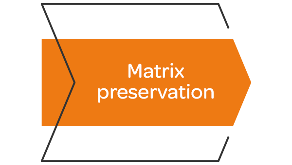 Detail Matrix Regen Nomer 5