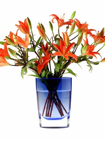 Detail Tulpen Und Hyazinthen In Einer Vase Nomer 28