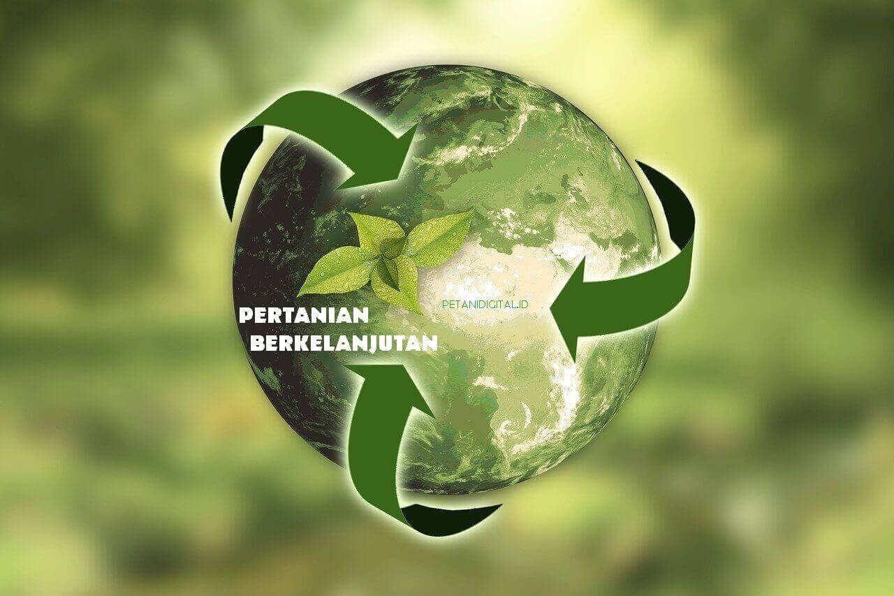 Gambar Pertanian Berkelanjutan - KibrisPDR