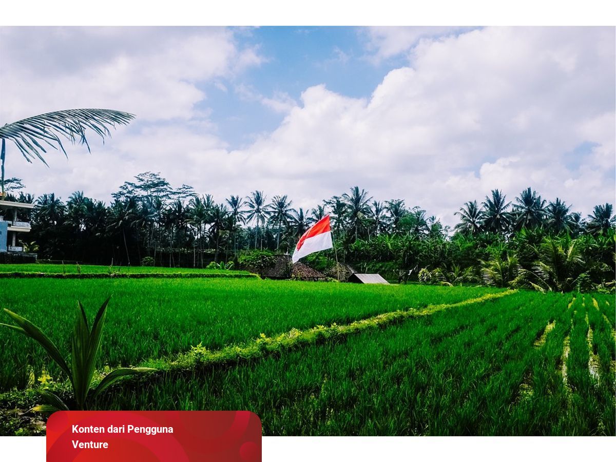 Detail Gambar Pertanian Di Indonesia Nomer 31