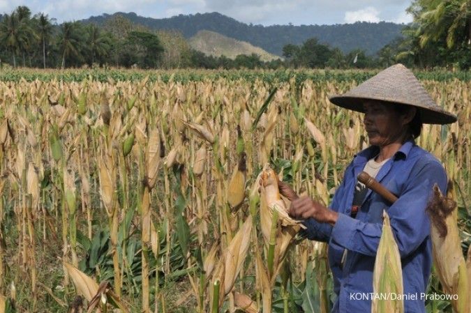 Detail Gambar Pertanian Di Malaysia Nomer 37