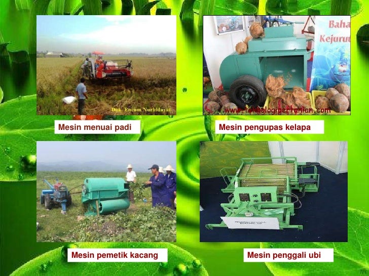 Detail Gambar Pertanian Di Malaysia Nomer 46
