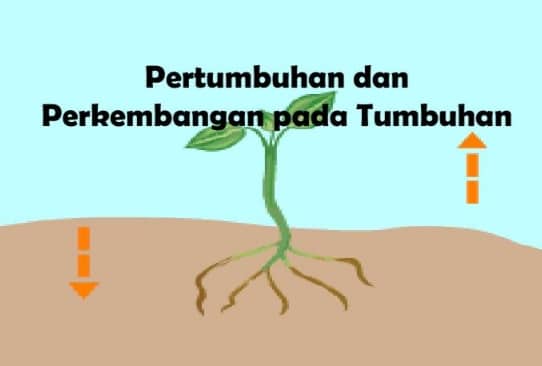 Detail Gambar Pertumbuan Perkembangan Nomer 39