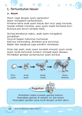 Detail Gambar Pertumbuhan Ayam Nomer 13