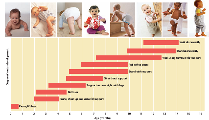 Detail Gambar Pertumbuhan Bayi Nomer 10