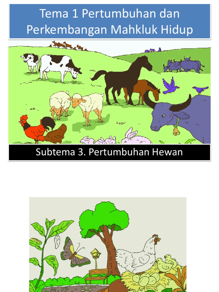 Detail Gambar Pertumbuhan Dan Perkembangan Makhluk Hidup Nomer 47