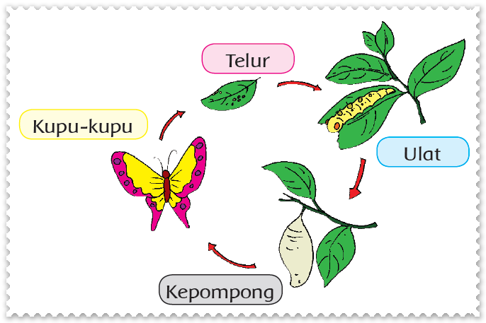 Detail Gambar Pertumbuhan Hewan Nomer 14