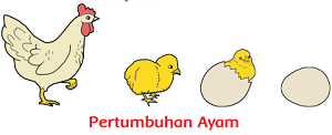 Detail Gambar Pertumbuhan Hewan Nomer 42