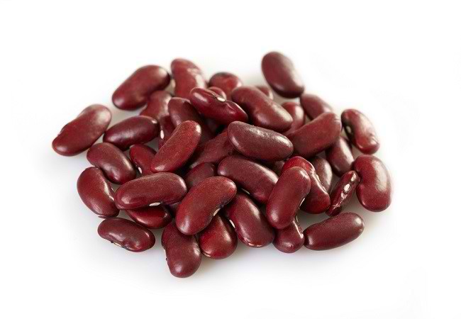Detail Gambar Pertumbuhan Kacang Merah Nomer 40