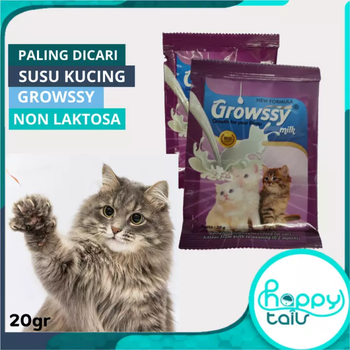 Detail Gambar Pertumbuhan Kucing Nomer 41