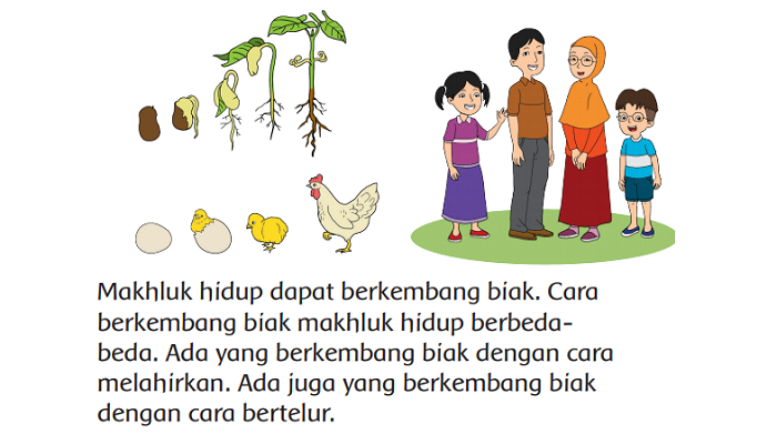 Detail Gambar Pertumbuhan Makhluk Hidup Nomer 39