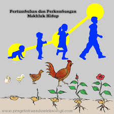 Detail Gambar Pertumbuhan Perkembangan Nomer 9
