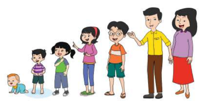 Detail Gambar Pertumbuhan Perkembangan Nomer 11