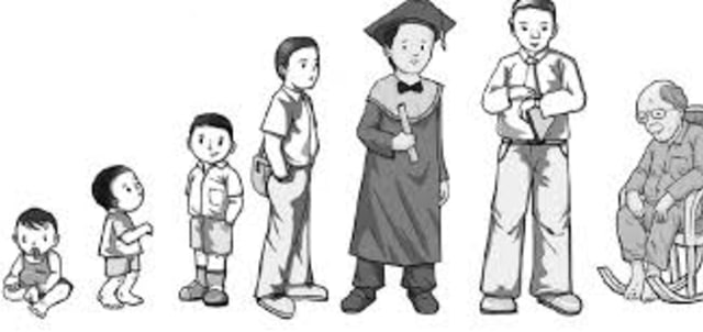 Detail Gambar Pertumbuhan Perkembangan Nomer 14