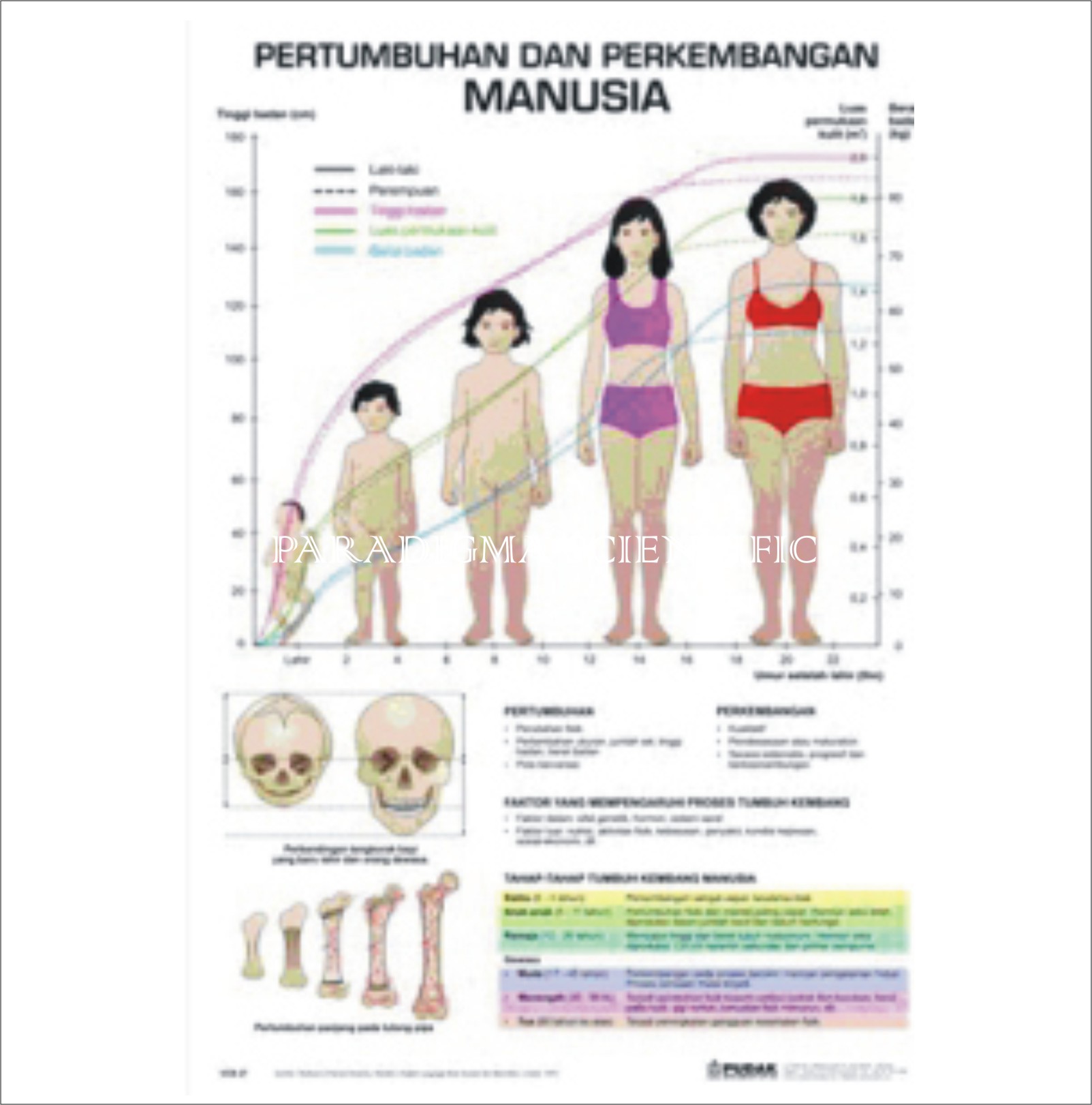 Detail Gambar Pertumbuhan Perkembangan Nomer 19
