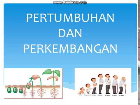 Detail Gambar Pertumbuhan Perkembangan Nomer 30