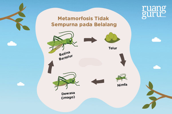 Detail Gambar Pertumbuhan Perkembangan Nomer 38