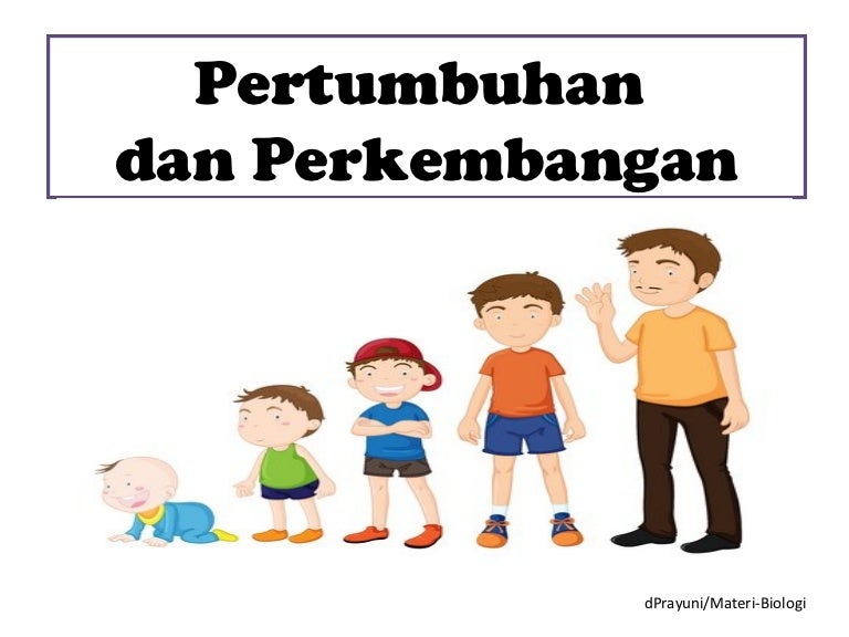 Detail Gambar Pertumbuhan Perkembangan Nomer 5