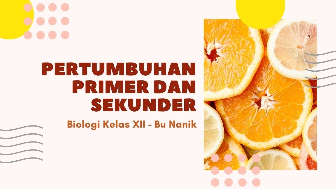 Detail Gambar Pertumbuhan Primer Dan Sekunder Nomer 52