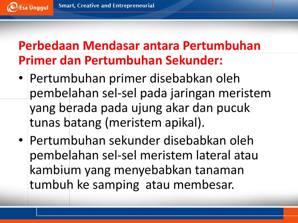 Detail Gambar Pertumbuhan Primer Dan Sekunder Nomer 53