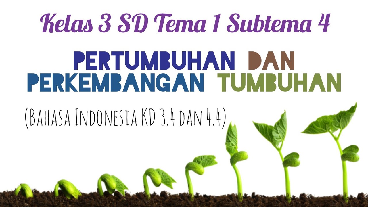 Detail Gambar Pertumbuhan Tanaman Nomer 40