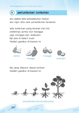 Detail Gambar Pertumbuhan Tanaman Melalui Biji Nomer 41