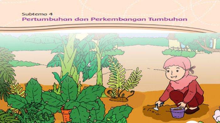 Detail Gambar Pertumbuhan Tumbuhan Nomer 48