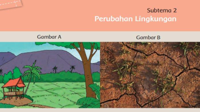 Detail Gambar Perubahan Lingkungan Nomer 14