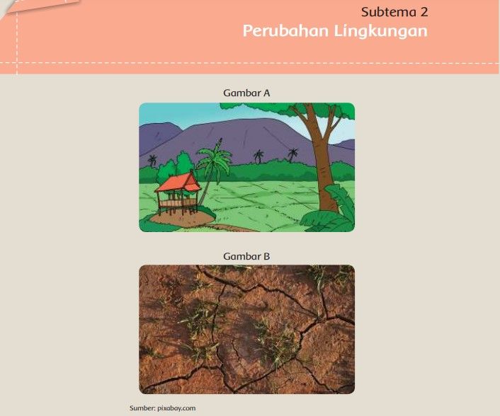 Detail Gambar Perubahan Lingkungan Nomer 24