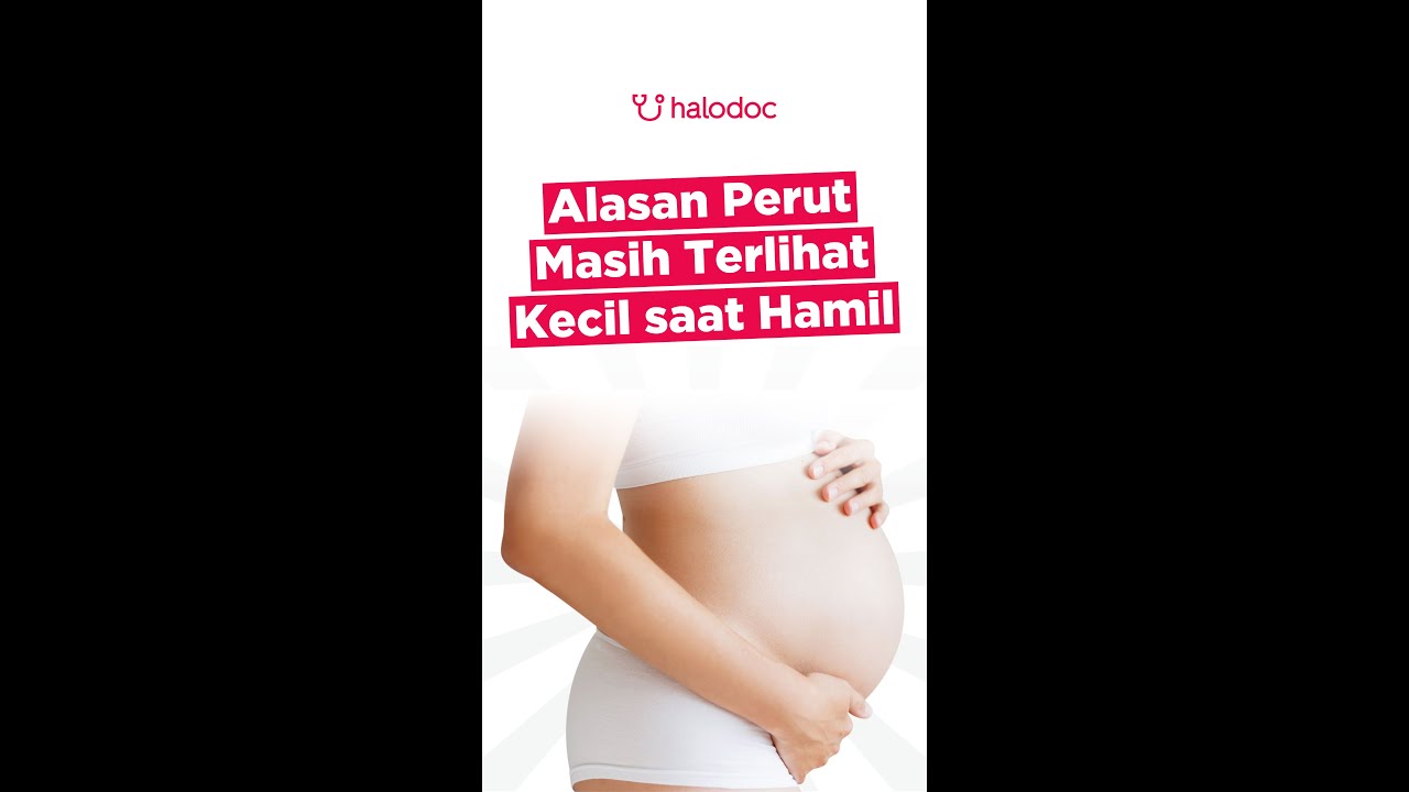 Detail Gambar Perut Hamil 4 Bulan Nomer 9