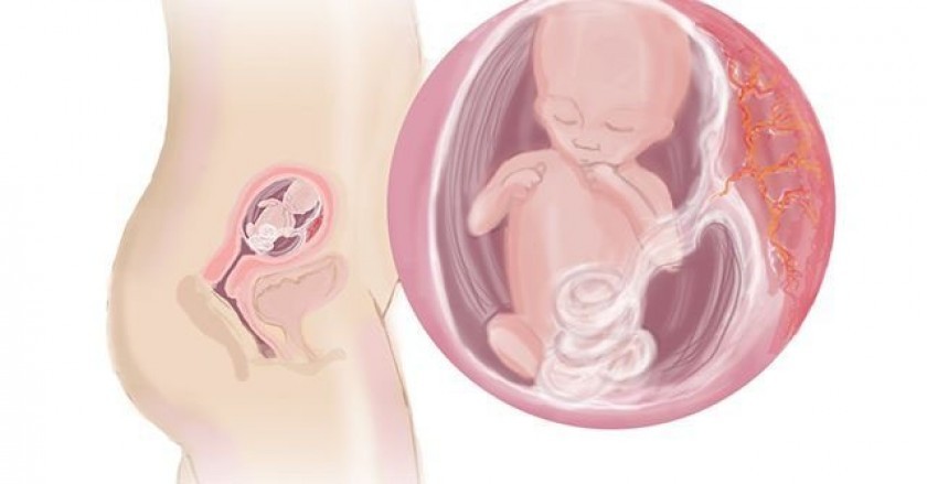 Detail Gambar Perut Ibu Hamil 4 Bulan Nomer 42