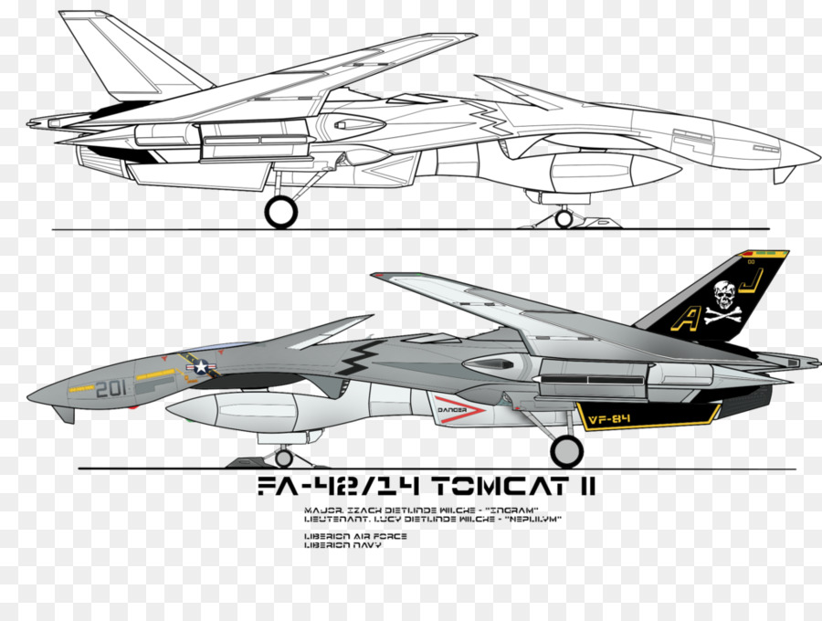 Detail Gambar Pesawat F14 Nomer 29