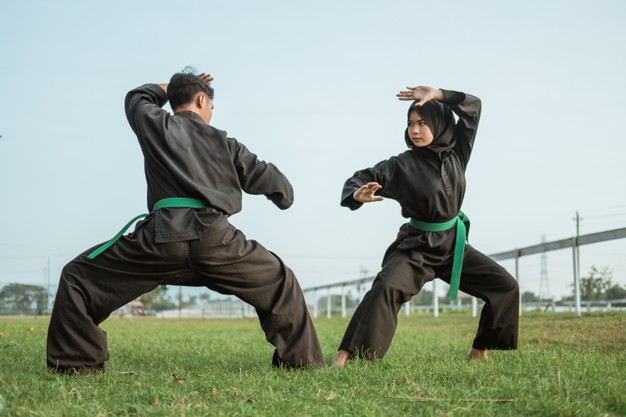 Detail Gambar Pesilat Wanita Nomer 26